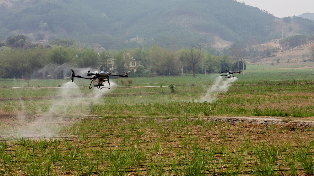 E99107016AA52A4C22C78DA4A55C108A E99107016AA52A4C22C78DA4A55C108A