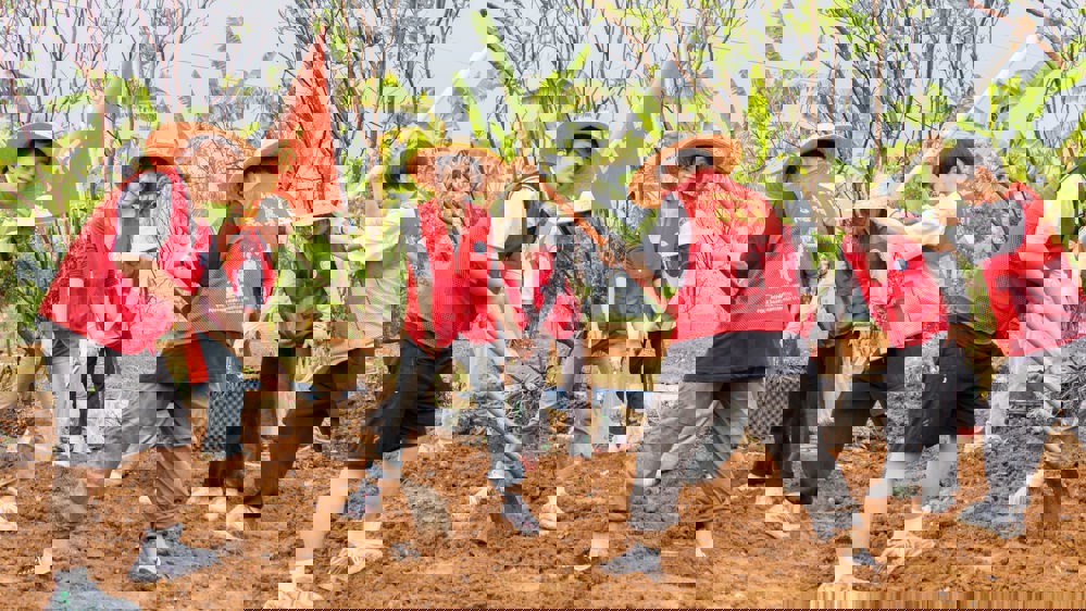 同学们协作种地 同学们协作种地