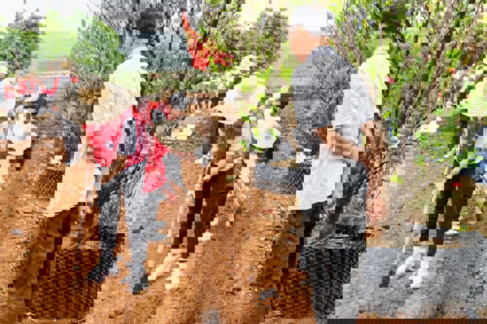 管理员指导同学们种植 管理员指导同学们种植