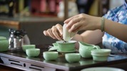 旅游管理专业—泡茶